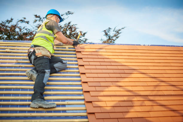 Best Sheet Metal Roofing  in Kalamazoo, MI
